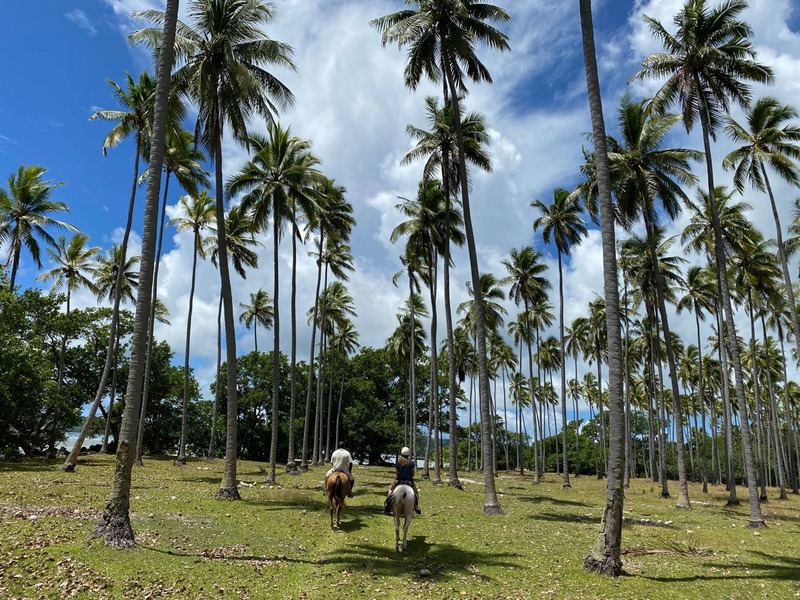 vanuatu espiritu santo