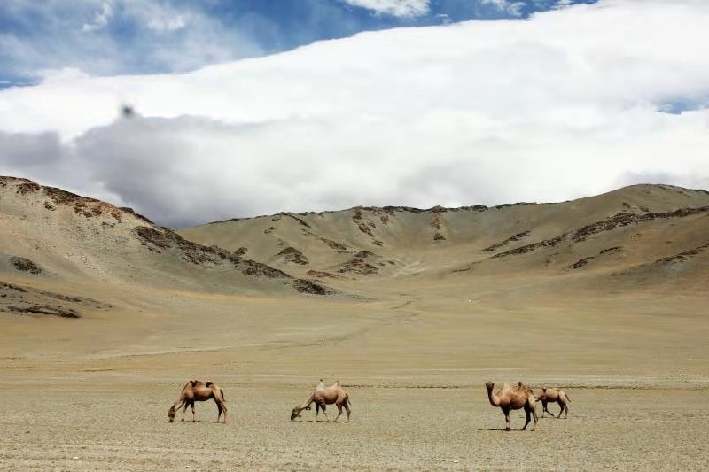 mongolia travel