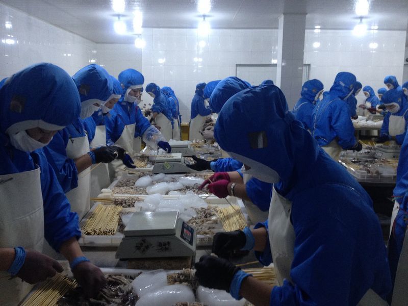 Rajin Chaebong Fish Factory | North Korea Travel Guide - Koryo Tours