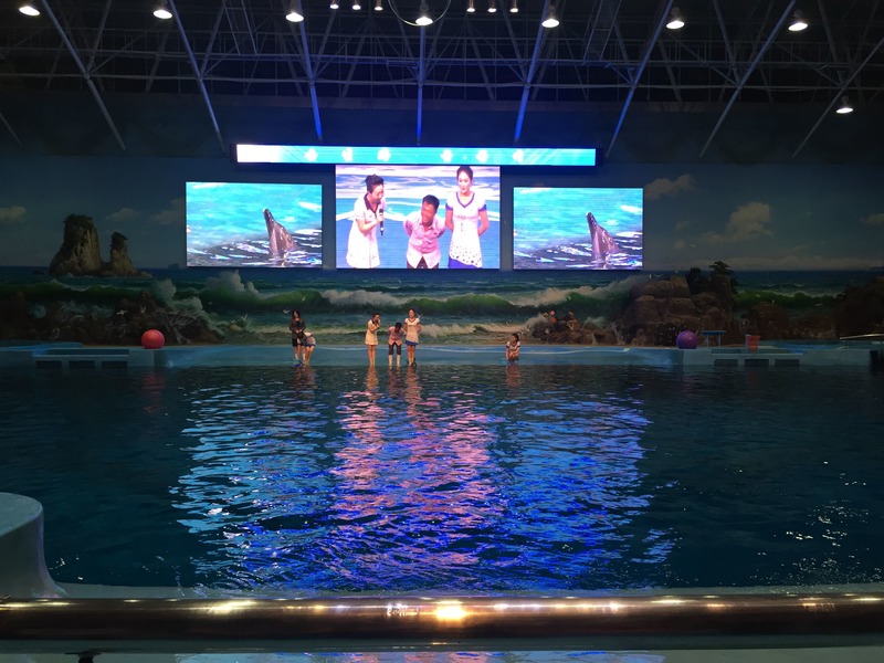 Pyongyang Dolphinarium North Korea Travel Guide Koryo Tours