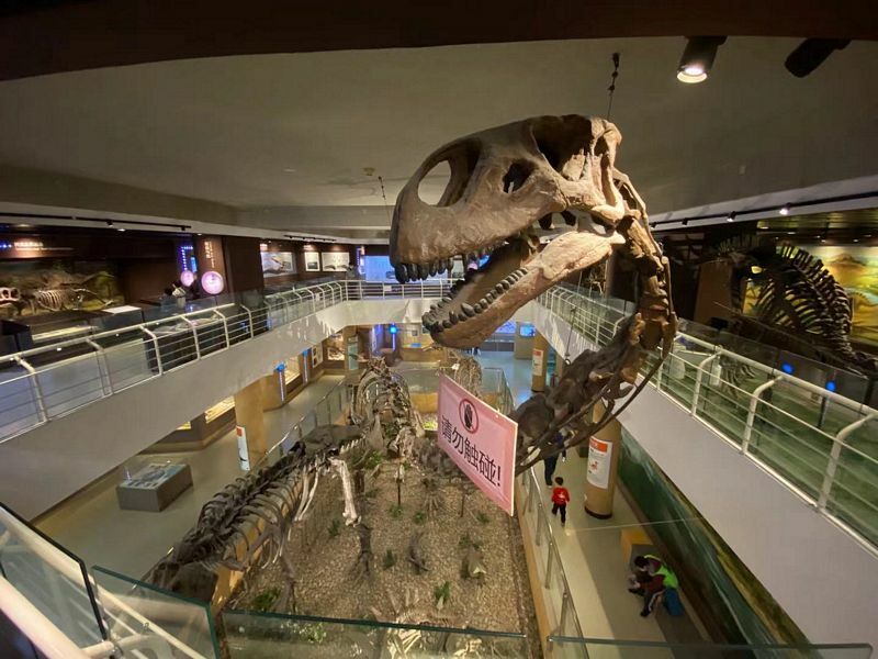 Paleozoological Museum of China