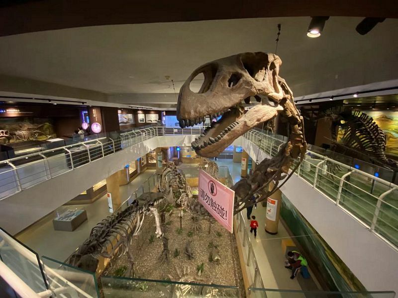 Museums of Beijing Paleozoological Museum of China Koryo Tours