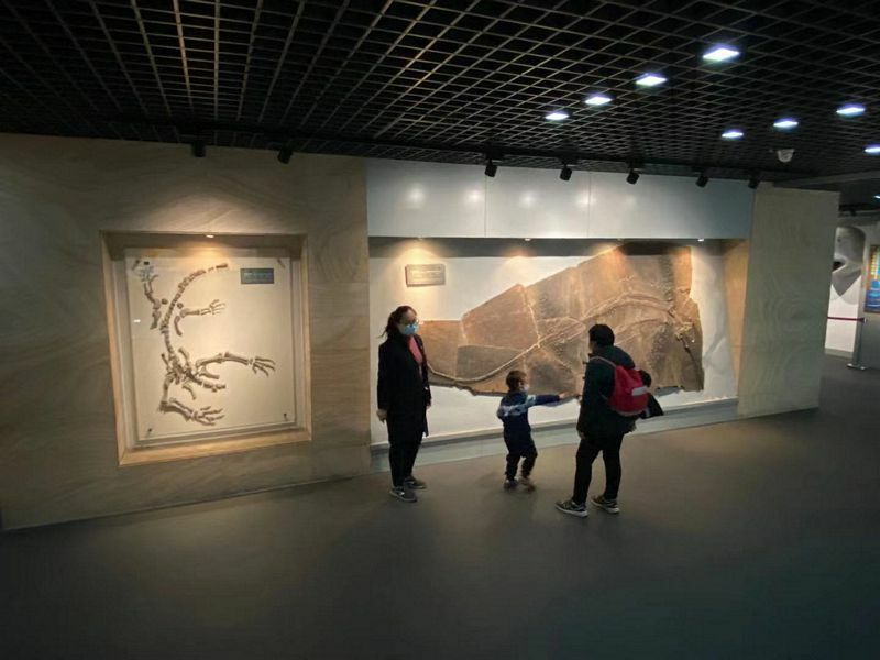 The Geological Museum of China