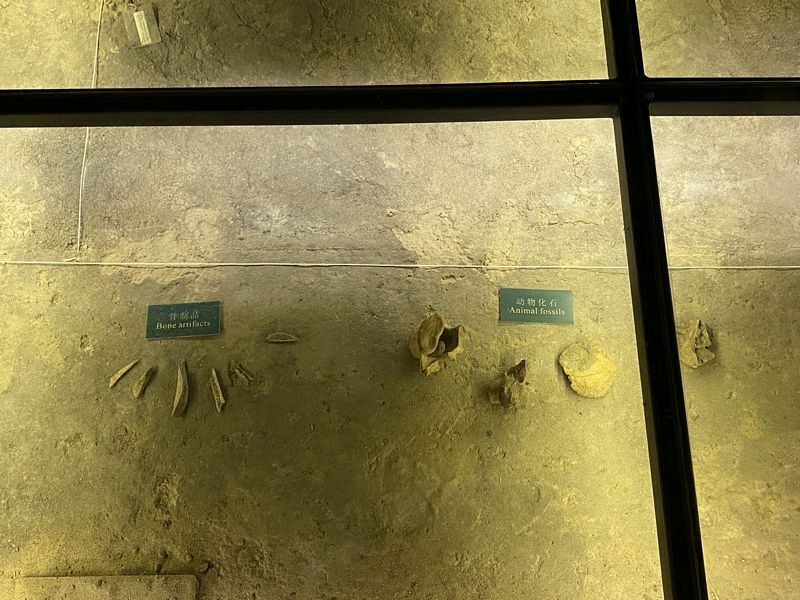 Wangfujing Paleolithic Museum