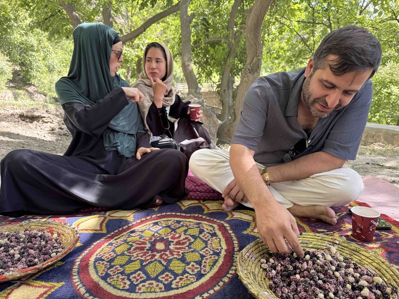 koryo tours afghanistan