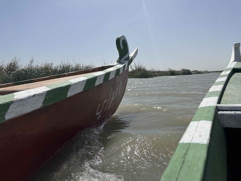iraqi marshes 