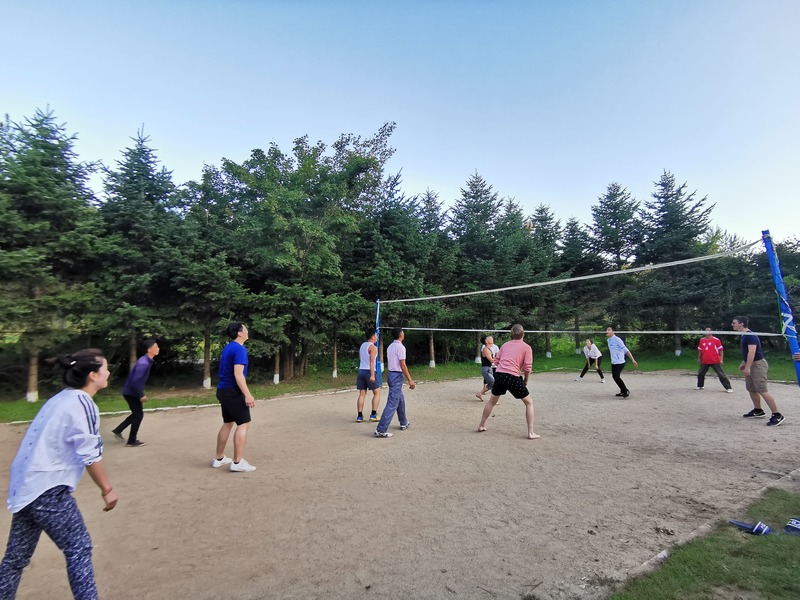 north korean volleyball