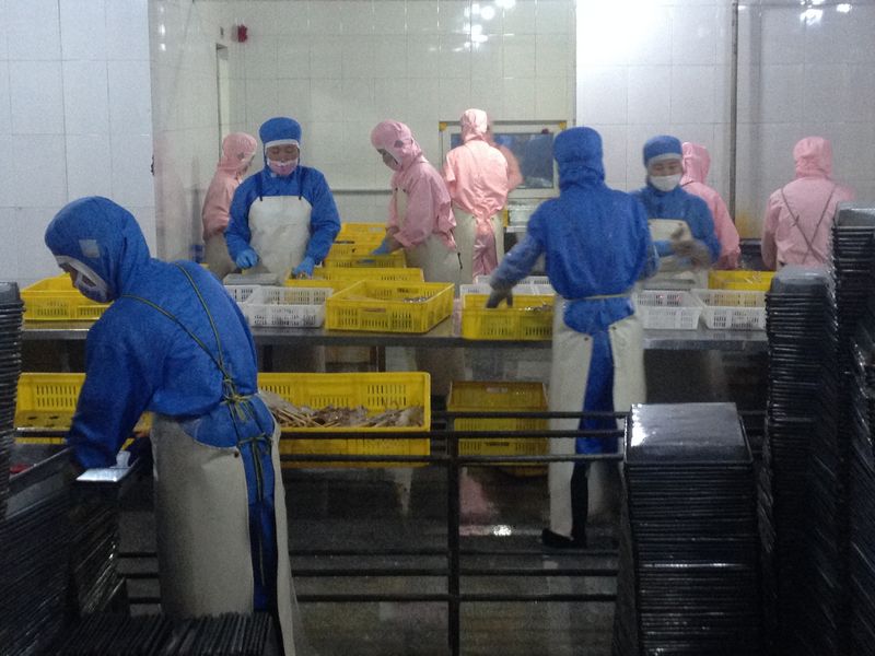 Rajin Chaebong Fish Factory 