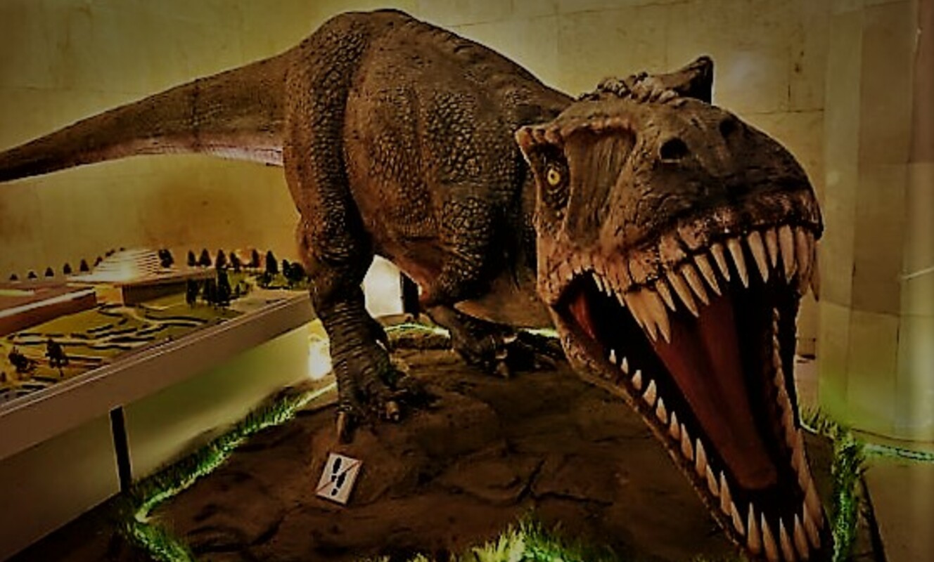 Large tarbosaurus