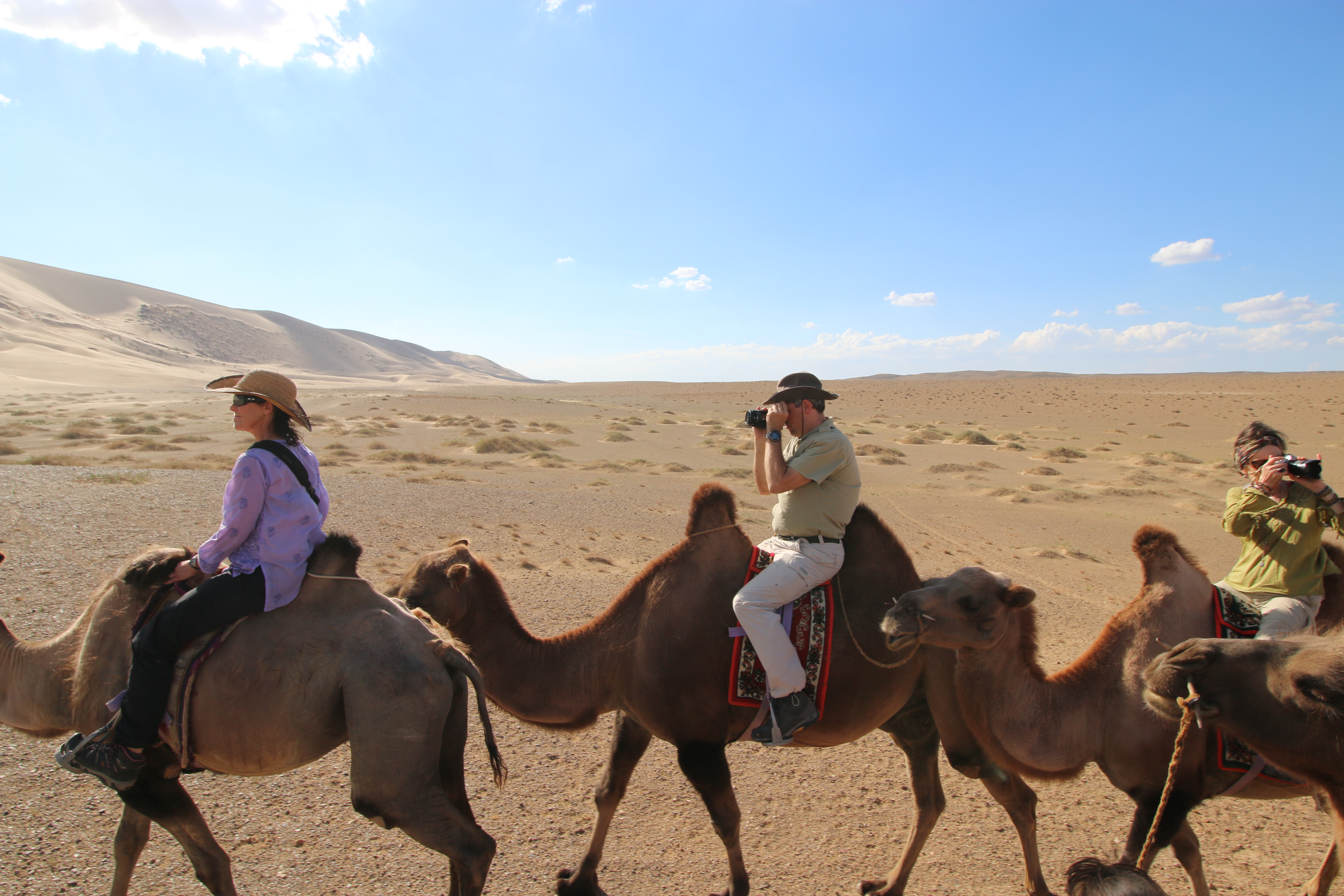 🐫 15 Facts: The Gobi Desert | Asia's Largest Desert, with a Difference -  Koryo Tours