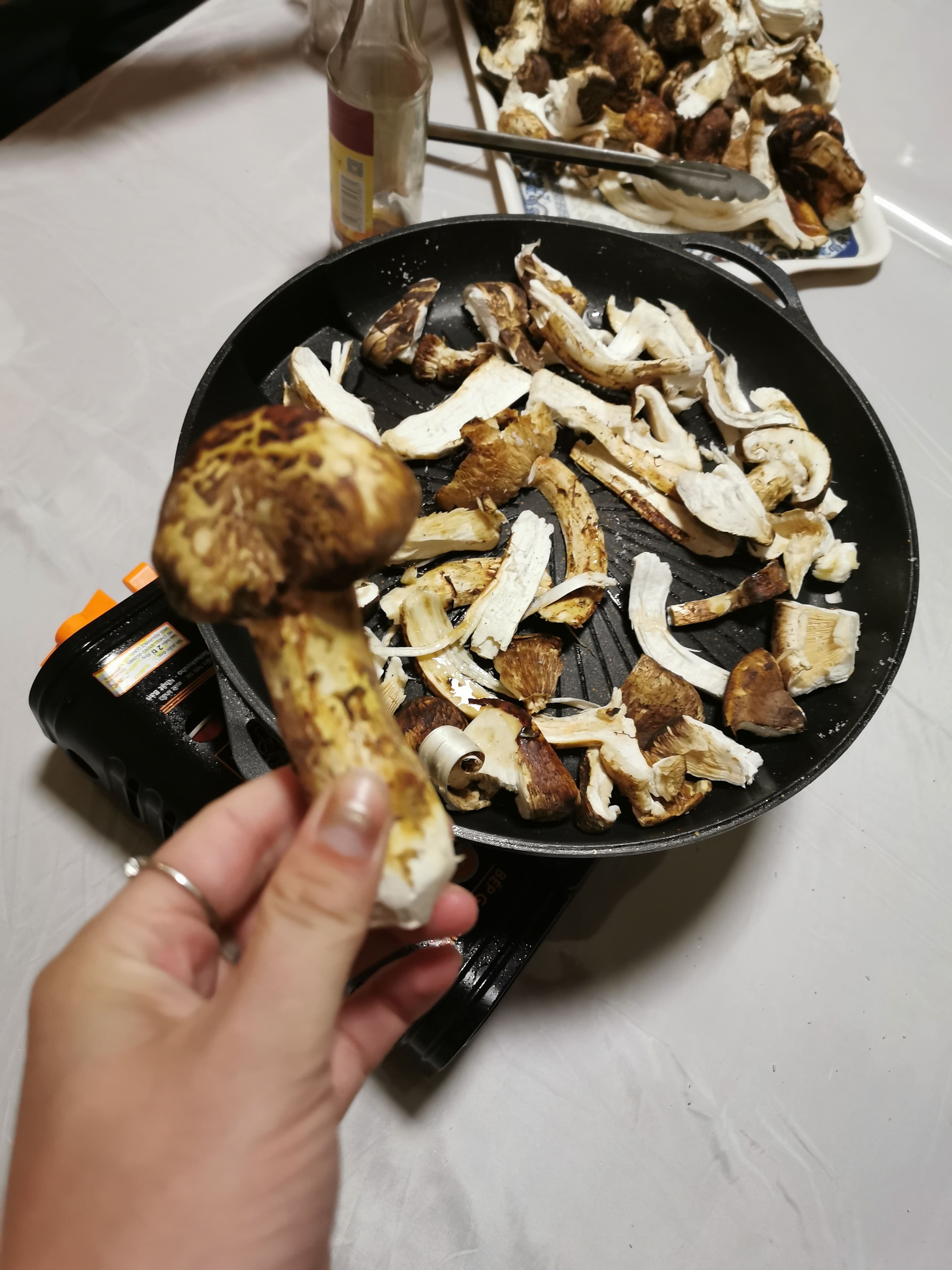 Pine Mushrooms, Chilbosan North Korea Travel Guide Koryo Tours